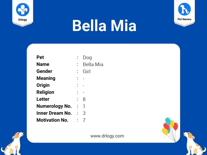 Bella Mia Name Meaning
